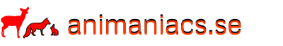 Animaniacs.se